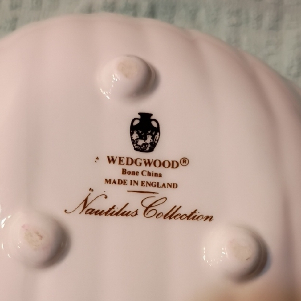 Wedgwood Nautilus Collection SeaShell Bone China England Seashore Beach Summer - Picture 6 of 7